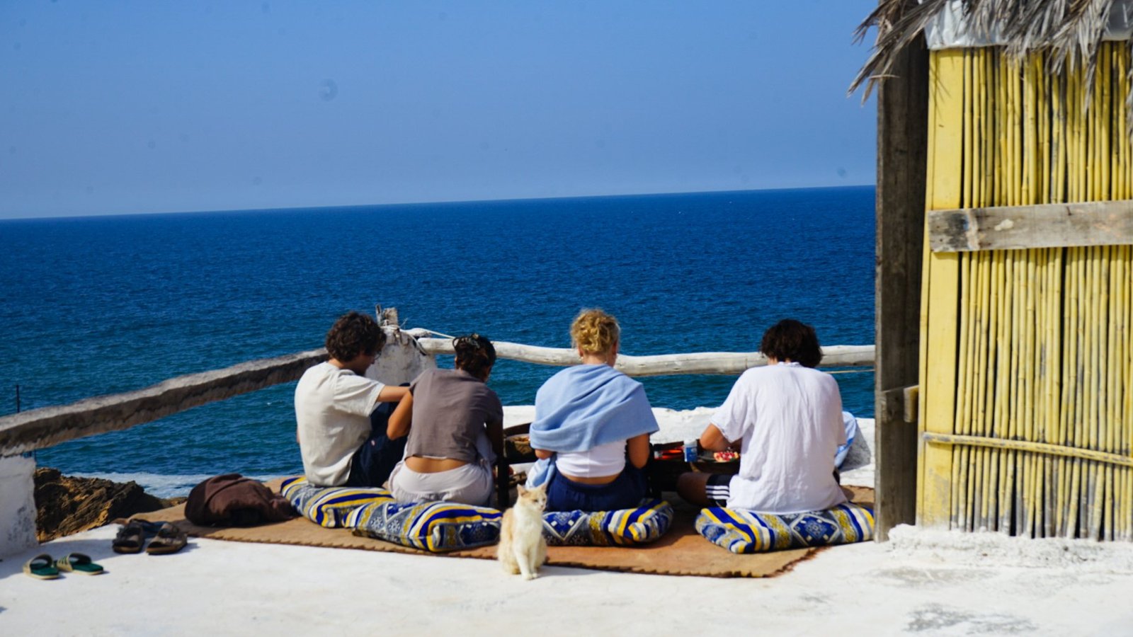 Guests sharing breakfast on cushions facing the ocean, with the cabin cat