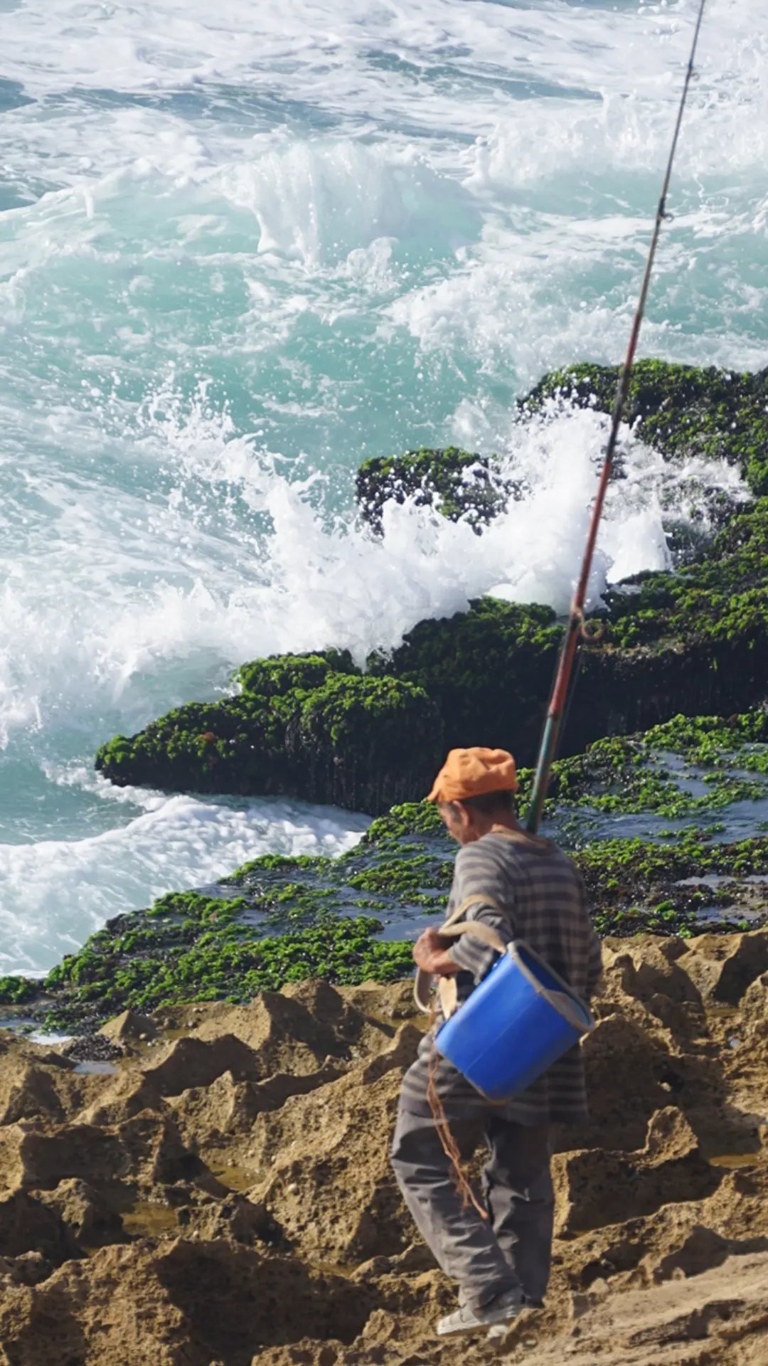 Rock fisherman on the wild Atlantic coast near Tamri, Morocco, habitat of the Northern Bald Ibis