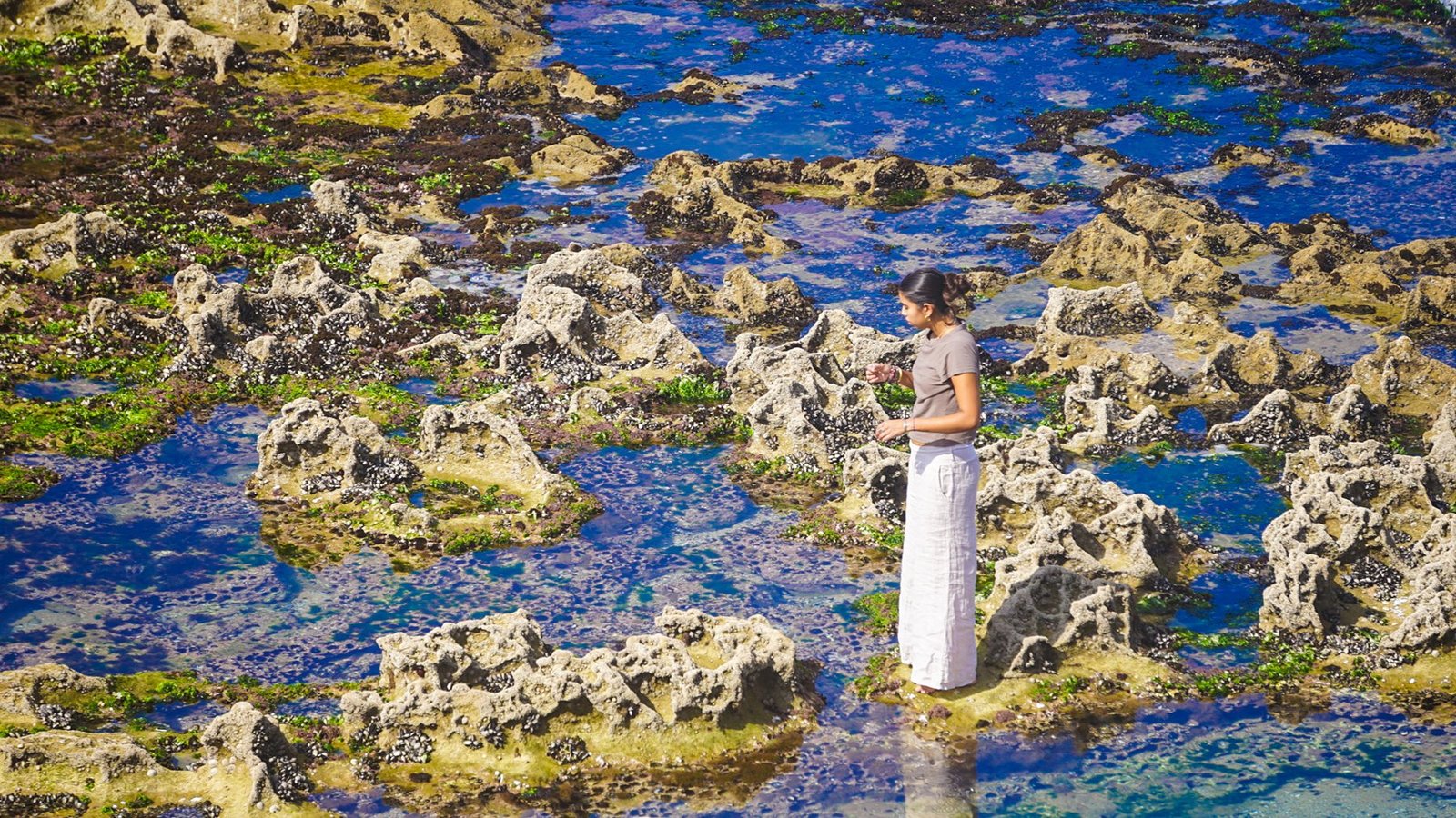Guest exploring the blue rock pools at low tide on the Timlalin coast