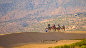 Camel ride in Timlalin dunes Morocco