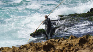 fishing octopus in timlaline oceanfront ajarif fisherman cabin
