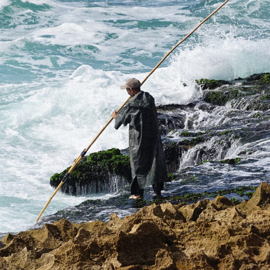 fishing octopus in timlaline oceanfront ajarif fisherman cabin
